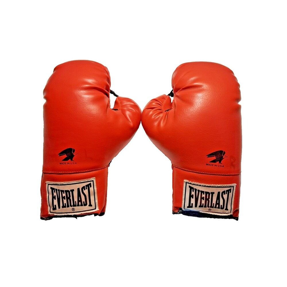 Vintage Everlast 12oz Leather Boxing Gloves Red Eagle Logo Made In USA VTG